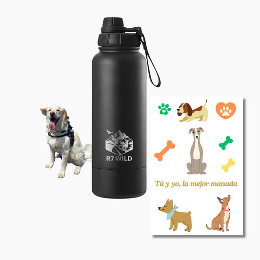Botella de acero inoxidable 1 Litro | 2 en 1 con stickers incluidos